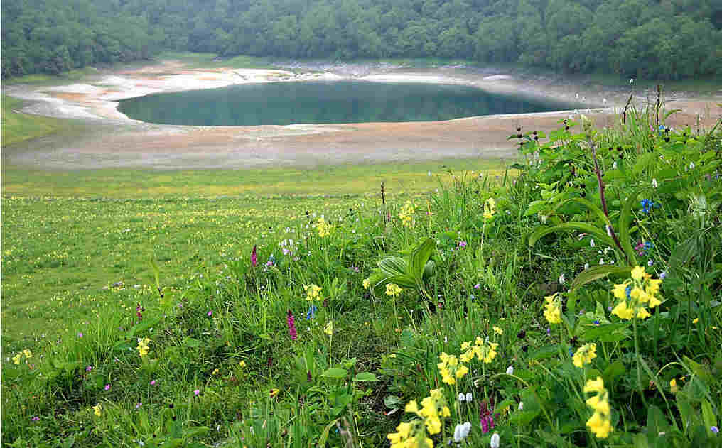 九顶山