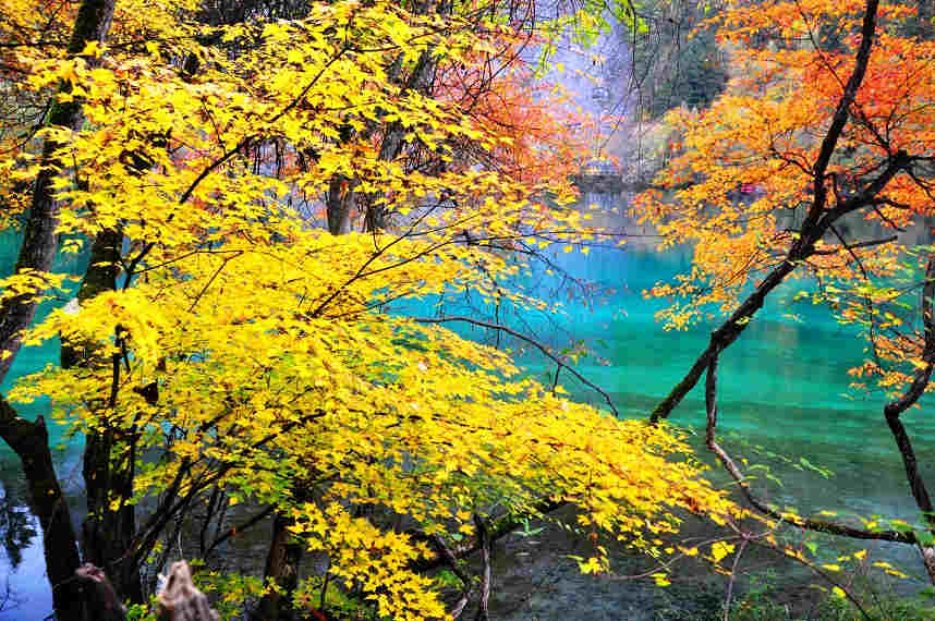 九寨沟秋天风景