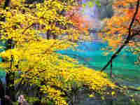 九寨沟秋天风景